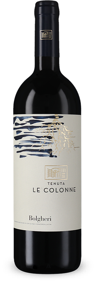 Bolgheri 2019