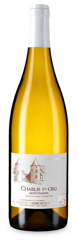 Chablis 1er Cru Montmains 2020
