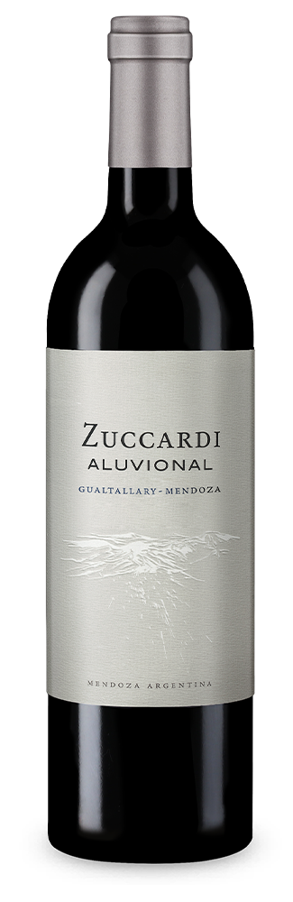 Malbec Aluvional Gualtallary Valle de Uco 2016