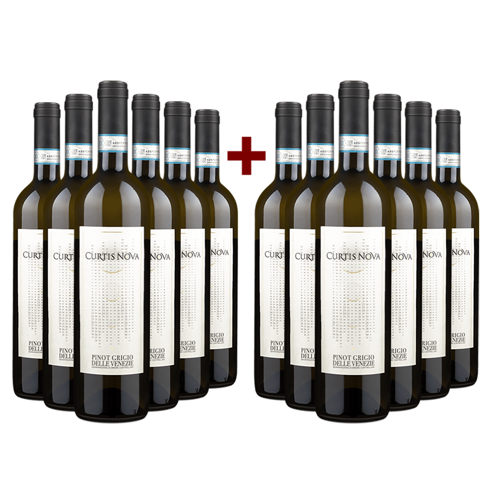 6+6 Flaschen Curtis Nova Pinot Grigio delle Venezie 2020