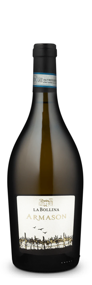 Chardonnay Armason Monferrato Bianco 2021