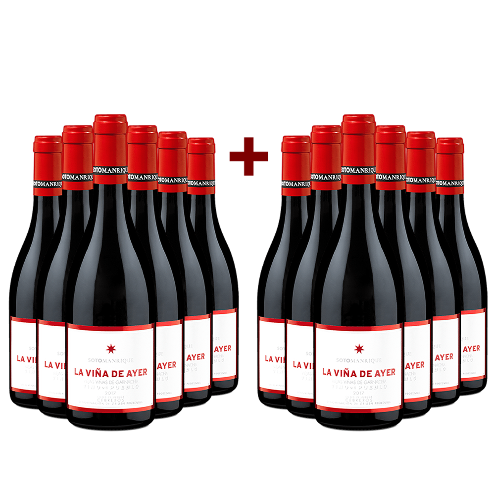 6+6 Flaschen Garnacha La Viña de Ayer Cebreros 2017