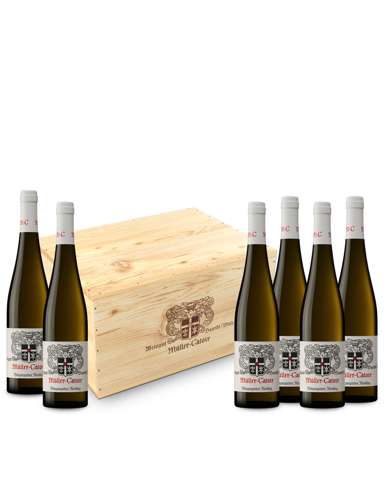 6er-Holzkiste Müller-Catoir VDP.ERSTE LAGE Bürgergarten Riesling trocken Vertikale 2016-2021