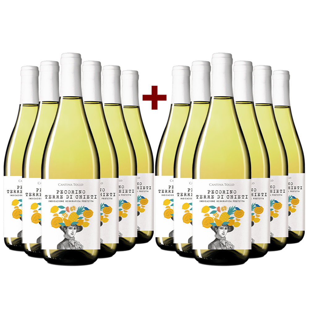 6+6 Flaschen Pecorino Terre di Chieti 2021