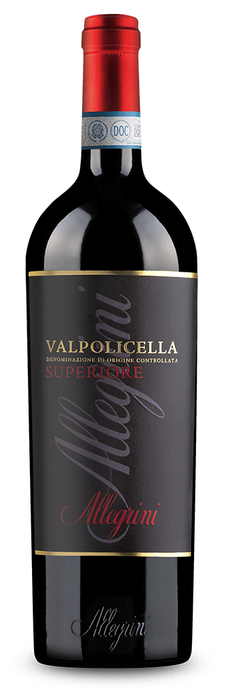 Valpolicella Superiore 2020