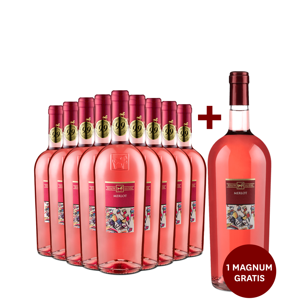 9 Flaschen Merlot Rosato 2021 + Magnum