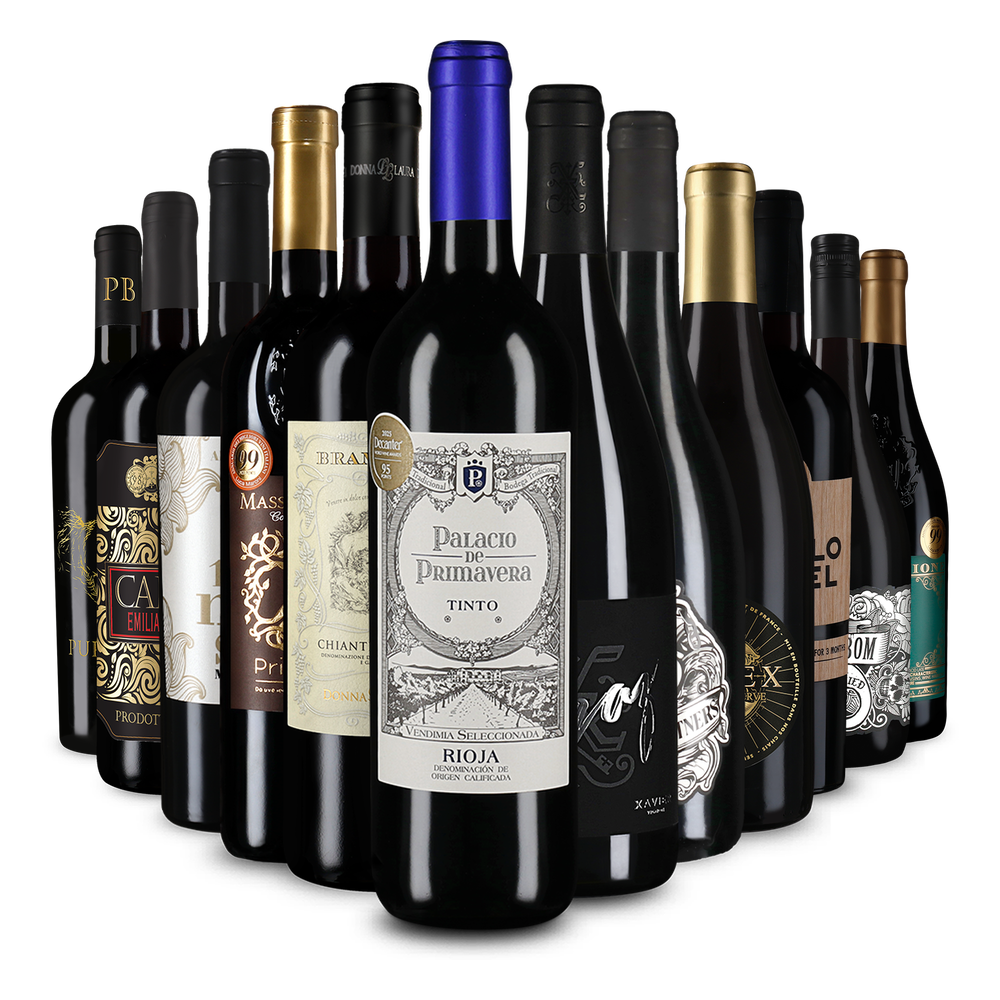 12x1 Wine in Black 12er Rotwein Bestseller Set