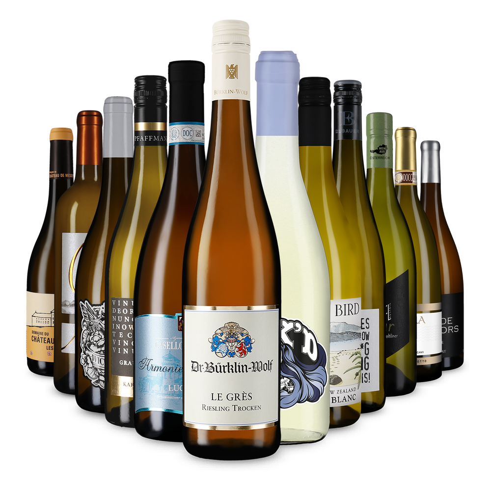 12x1 Wine in Black 12 er Weißwein Bestseller Set