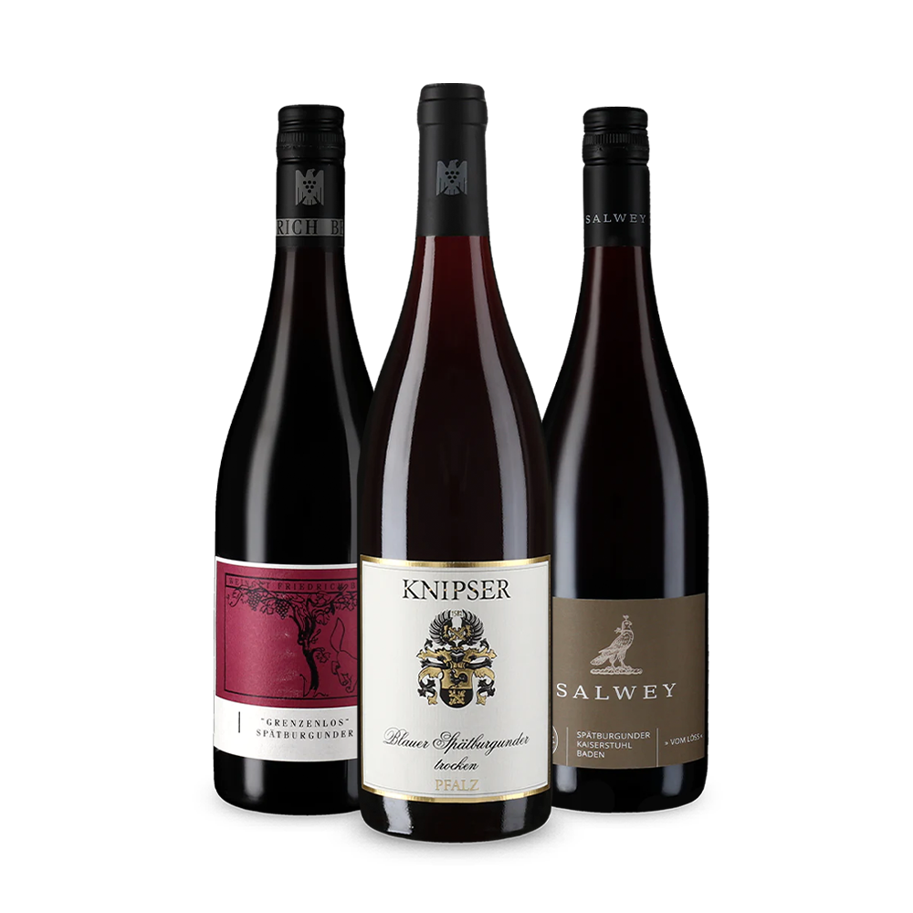 Wine in Black Spätburgunder-Paket