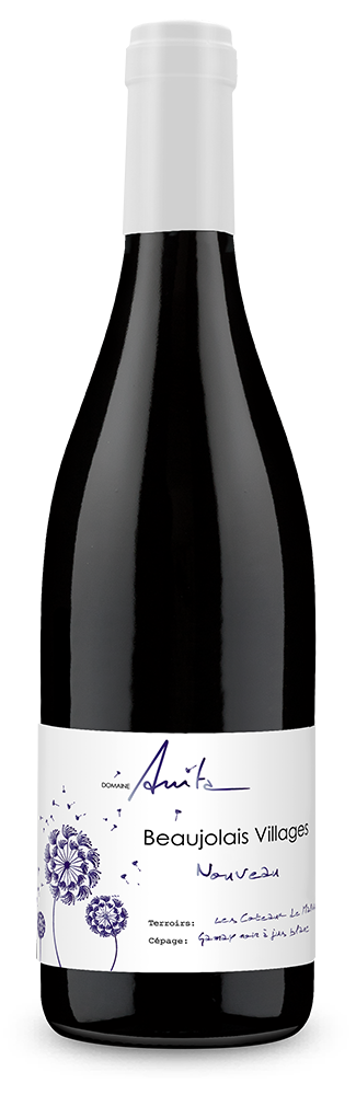 Beaujolais Villages Nouveau 2022