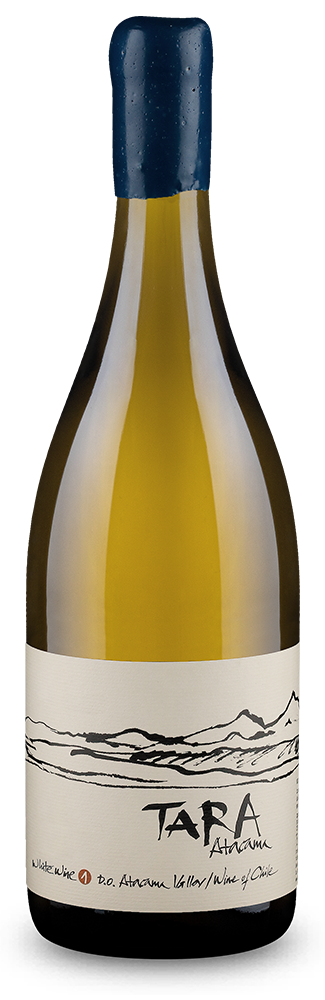 Tara Chardonnay Atacama Valley 2019