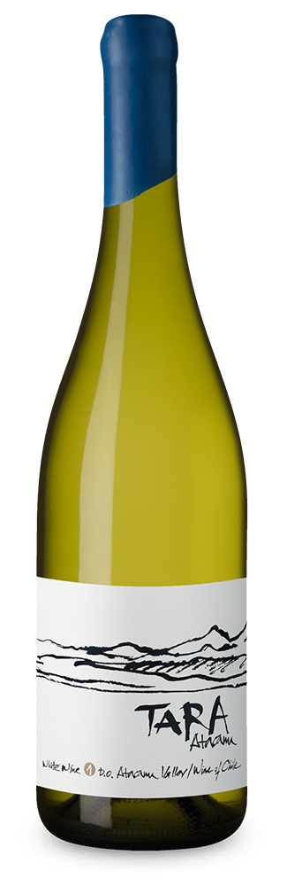 Tara Sauvignon Blanc 2020
