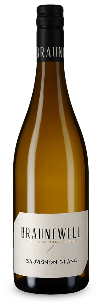 Sauvignon Blanc aus dem Selztal trocken 2022