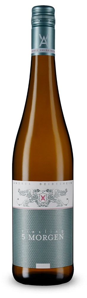 Riesling 5 Morgen trocken 2022