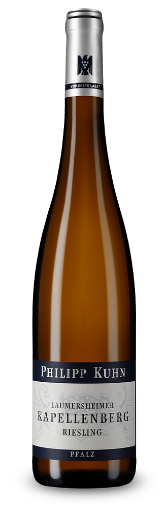Riesling Kapellenberg VDP.Erste Lage trocken 2021