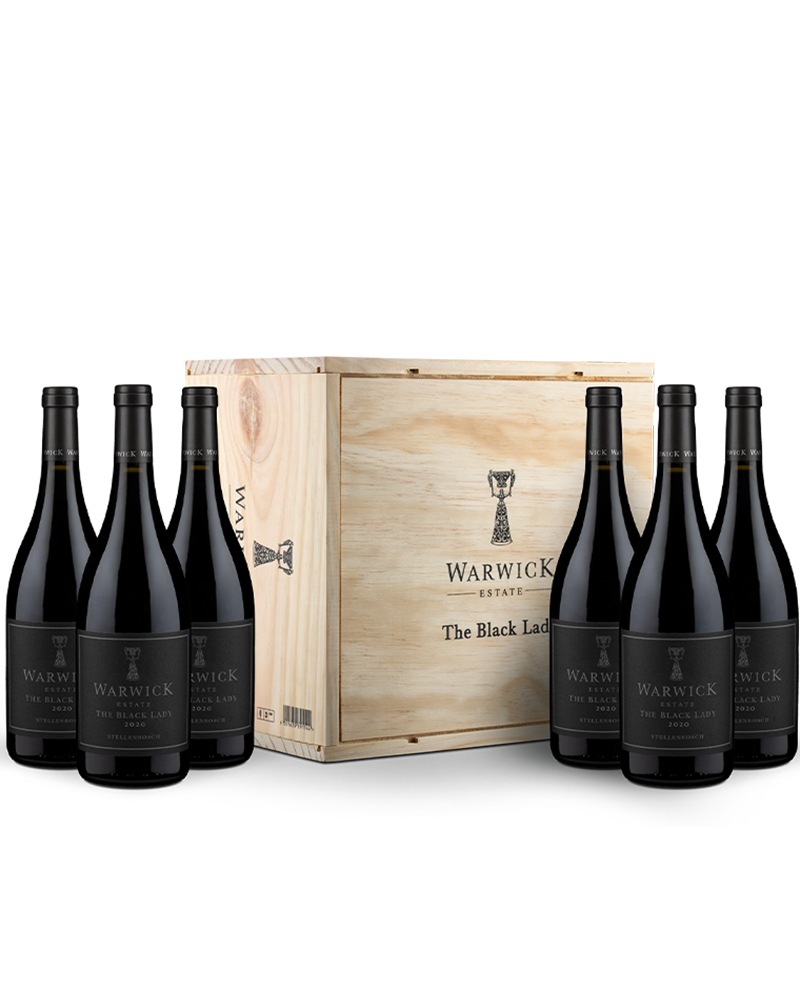 6 Flaschen Syrah The Black Lady in der Holzkiste 2021