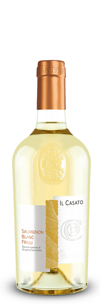 Sauvignon Blanc Friuli 2022