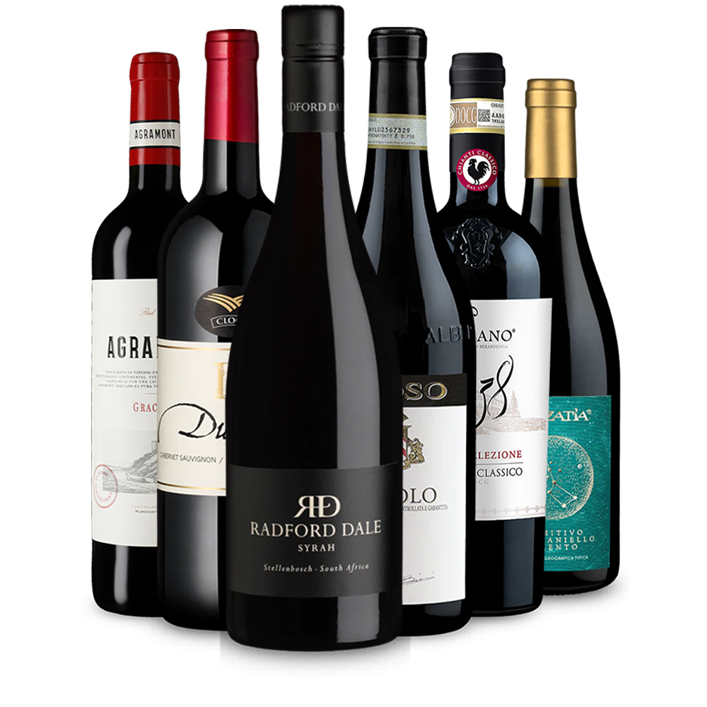 Wine in Black 50% Saving Set