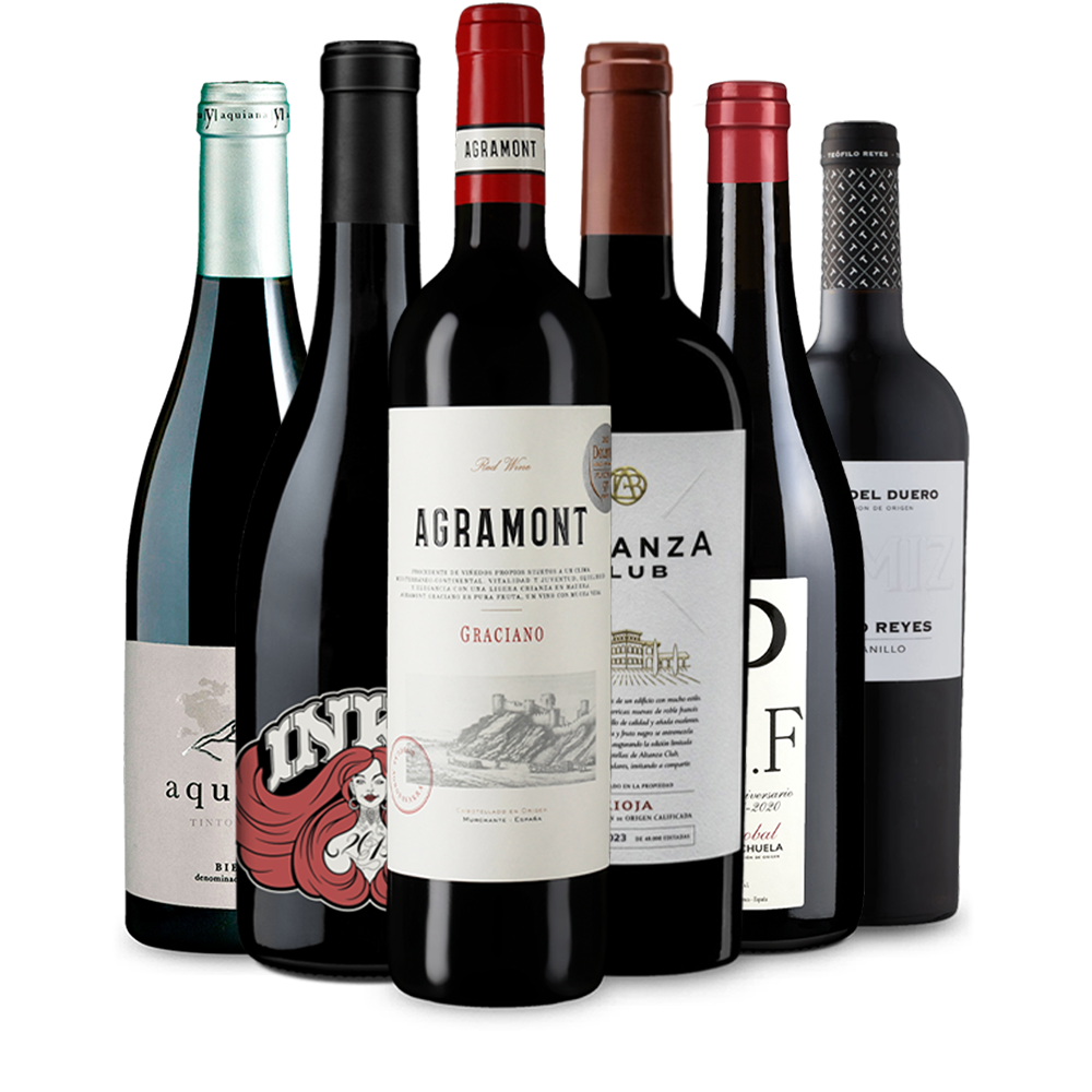 Wine in Black ‚Spanien Bestseller‘-Paket