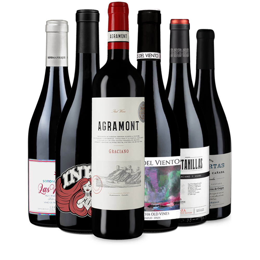 Wine in Black Spanien-Paket