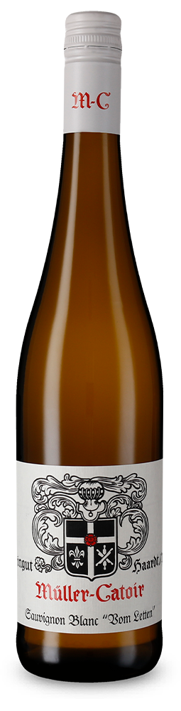 Sauvignon Blanc Vom Letten trocken 2022