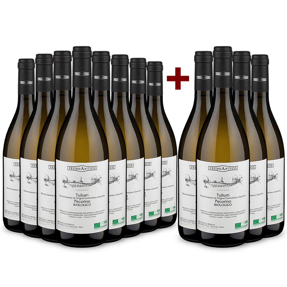 8+4 Flaschen Feudo Antico Pecorino Tullum 2020 - Bio