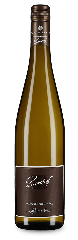 Wachenheimer Luginsland Riesling Erste Lage trocken 2022