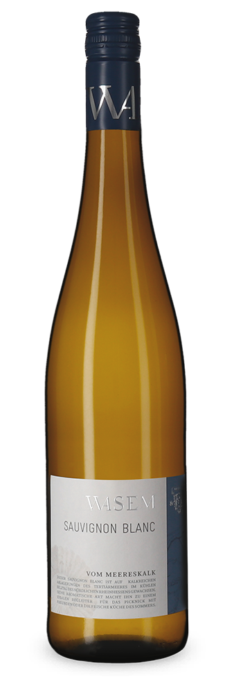 Sauvignon Blanc vom Meereskalk trocken 2022