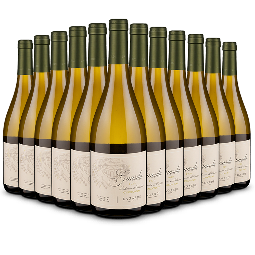12 Flaschen Chardonnay Guarda Colección de Viñedos Valle de Uco 2021