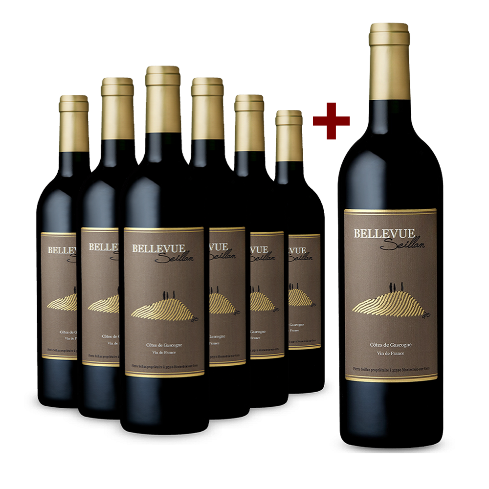 6 Flaschen Pierre Seillan Bellevue Seillan 2011 + Magnum 2012