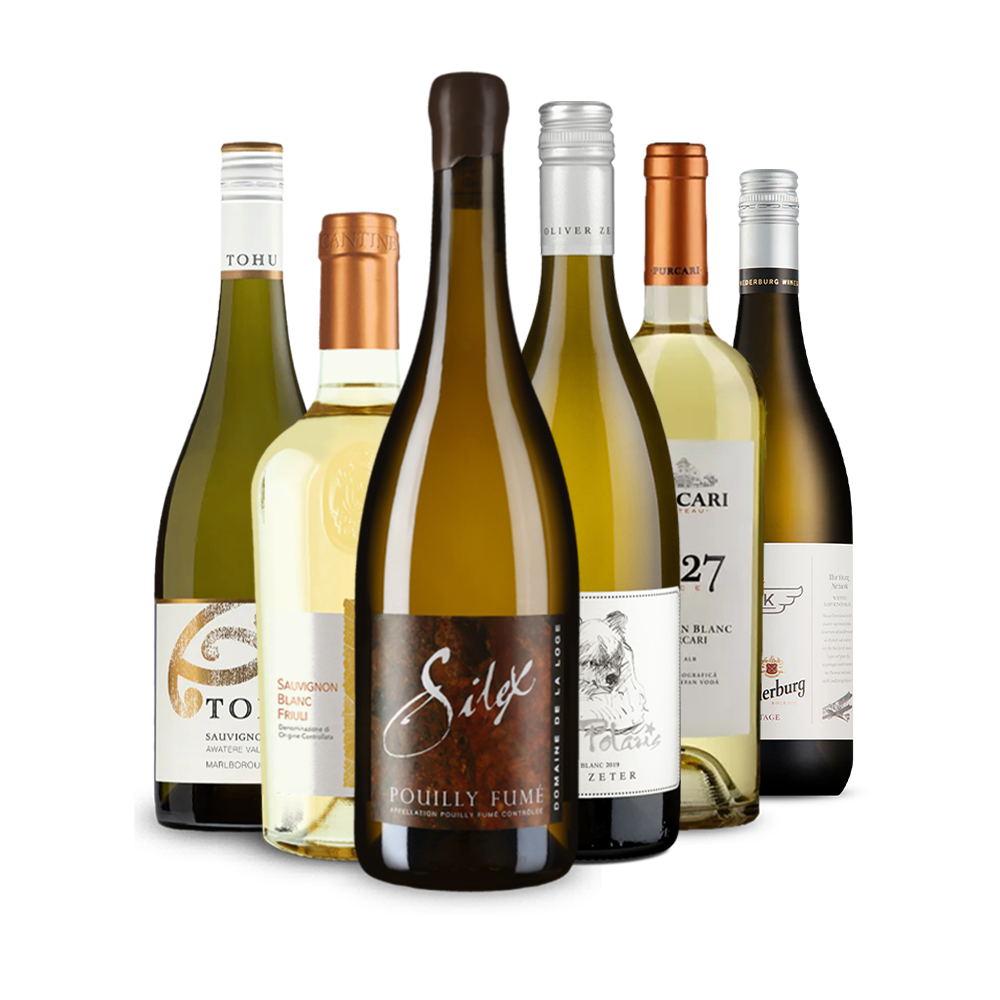 Sauvignon Blanc: Die Weltreise im 6er-Paket