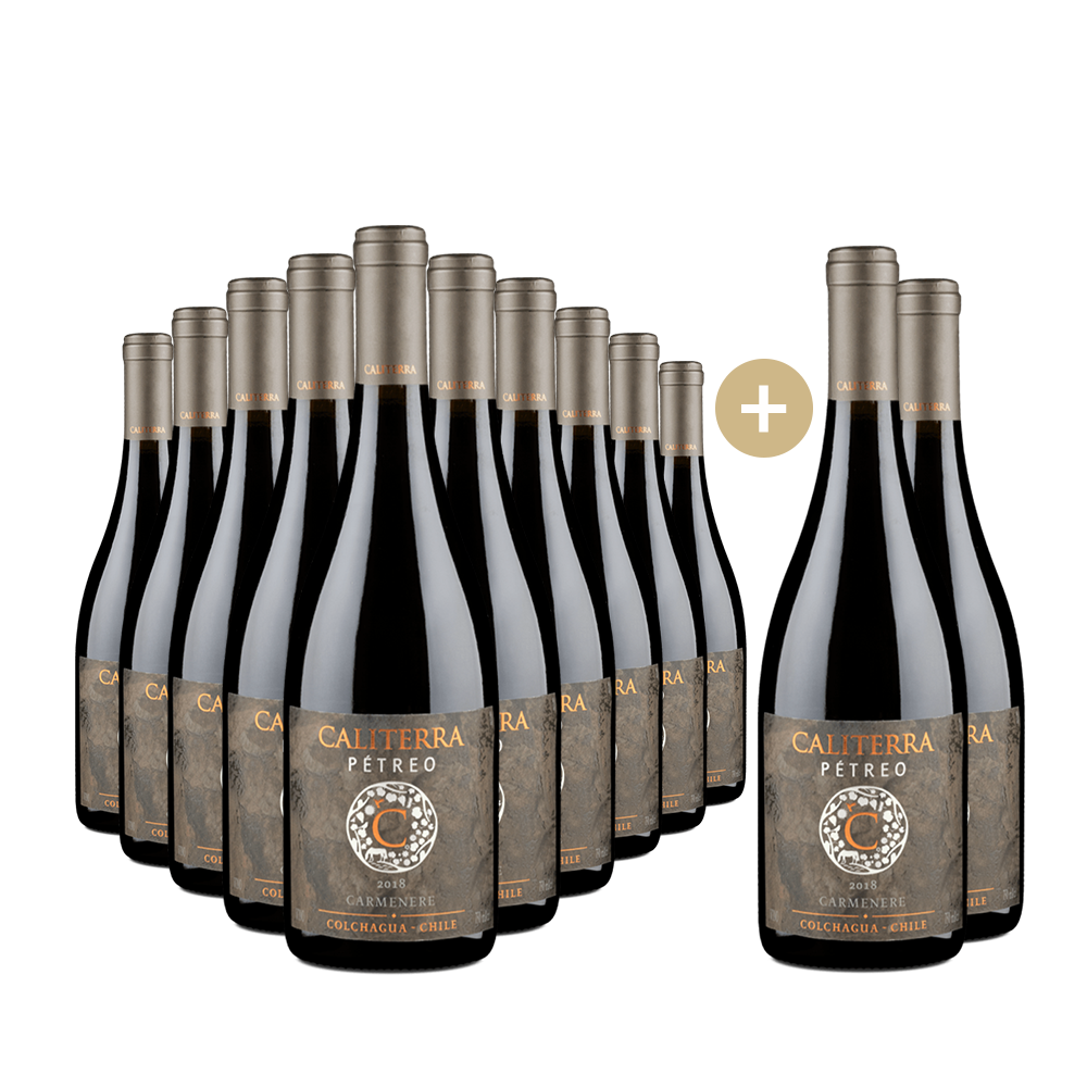 10+2 Flaschen Viña Pétreo Carménère 2018