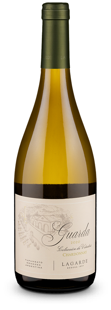 Chardonnay Guarda Colección de Viñedos Valle de Uco 2022
