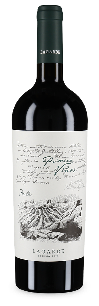 Malbec Primeras Viñas Gualtallary 2020