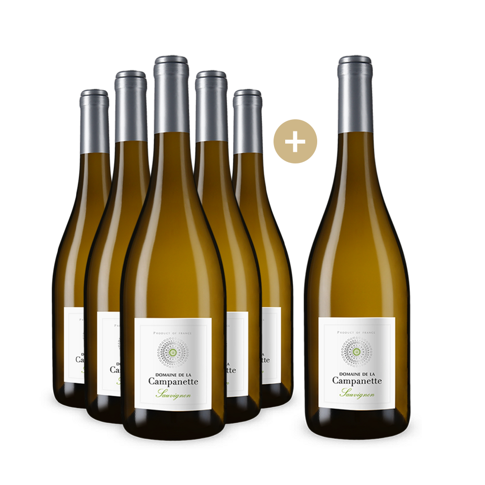 5+1 Flaschen Sauvignon Blanc Touraine 2022