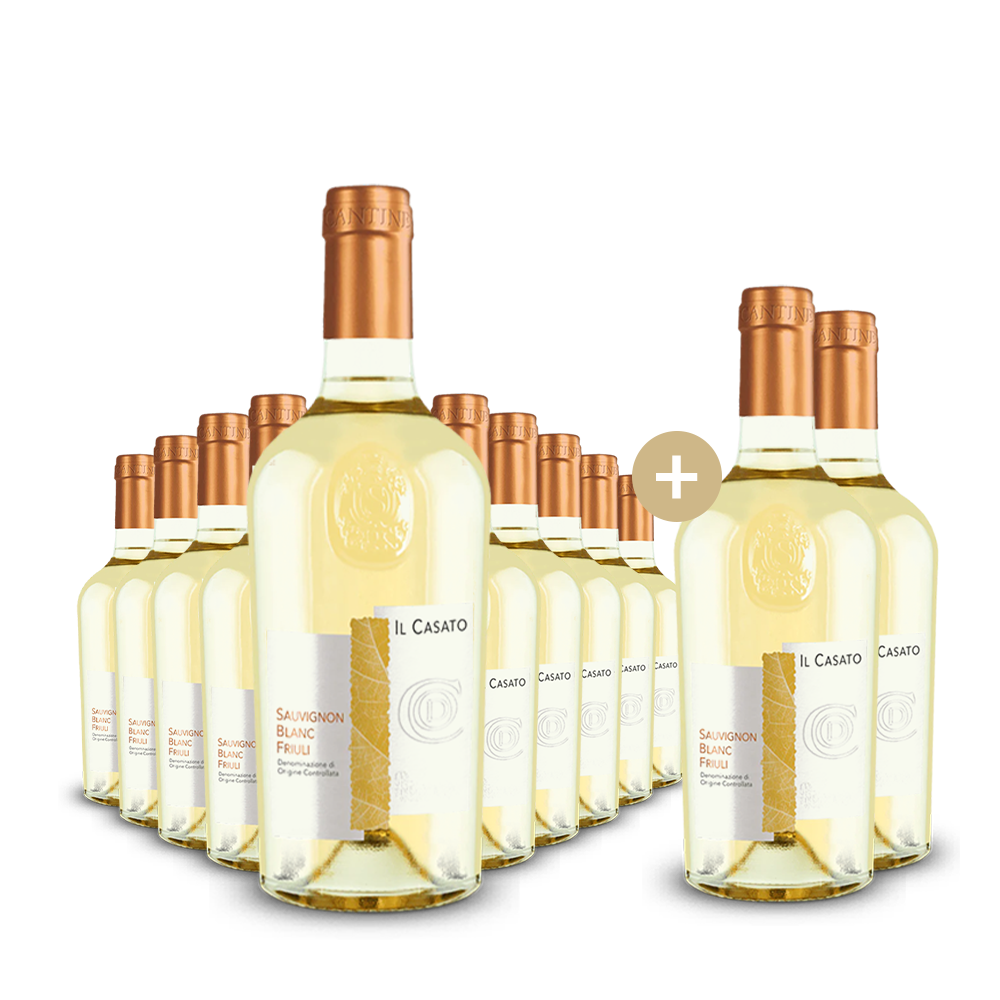 10+2 Flaschen Sauvignon Blanc Friuli 2022