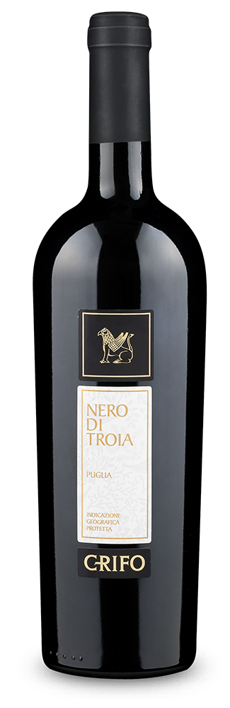 Nero di Troia Grifo 2021