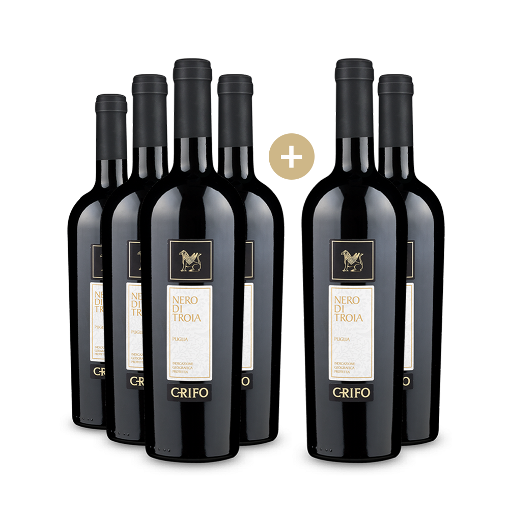 4+2 Cantina di Ruvo di Puglia Nero di Troia Grifo 2021
