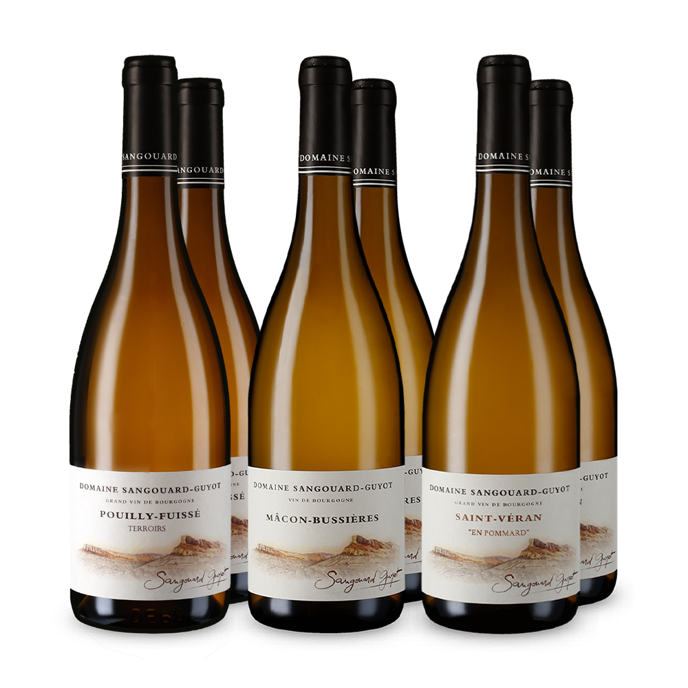 Domaine Sangouard-Guyot im 3x2-Kennenlernset
