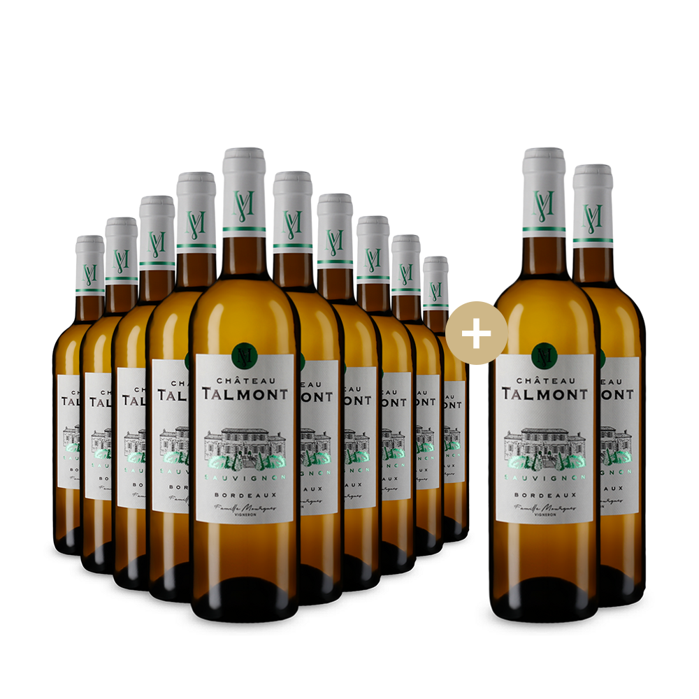 10+2 Flaschen Bordeaux Blanc 2022