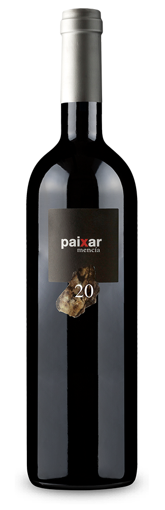 Paixar 2021