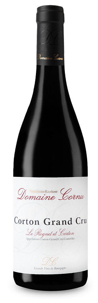 Corton Grand Cru Le Rognet et Corton Rouge 2019