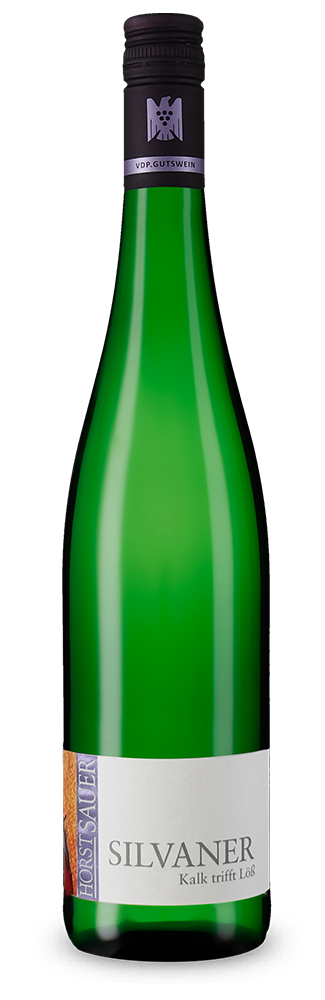 Silvaner Kalk trifft Löß trocken 2023