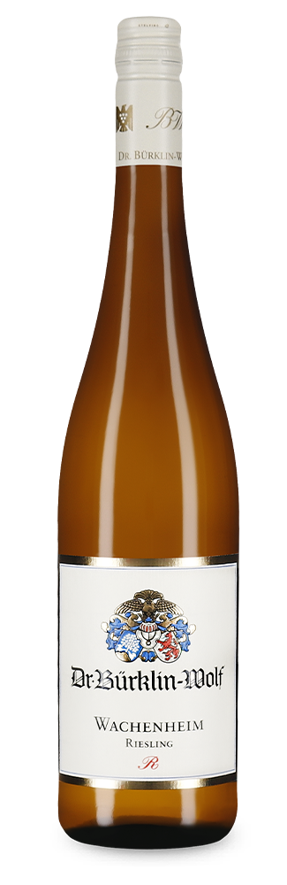 Wachenheimer R Village Riesling trocken 2019