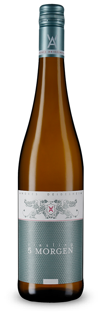 Riesling 5 Morgen trocken 2023