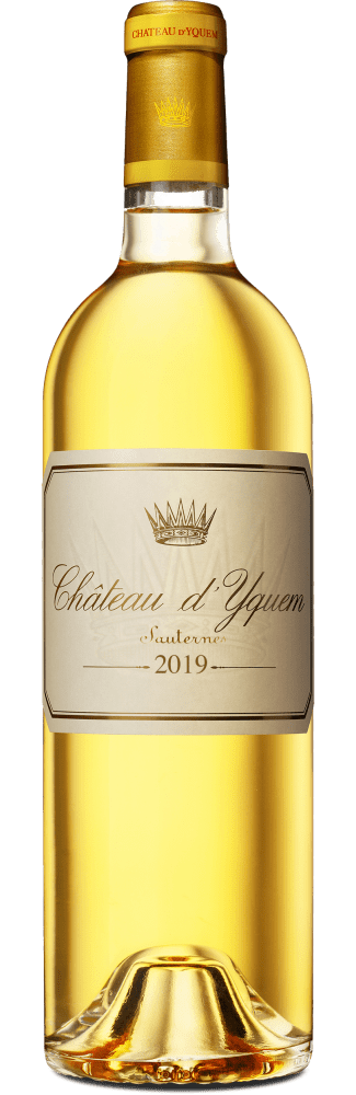1er Grand Cru Supérieur Sauternes 2007