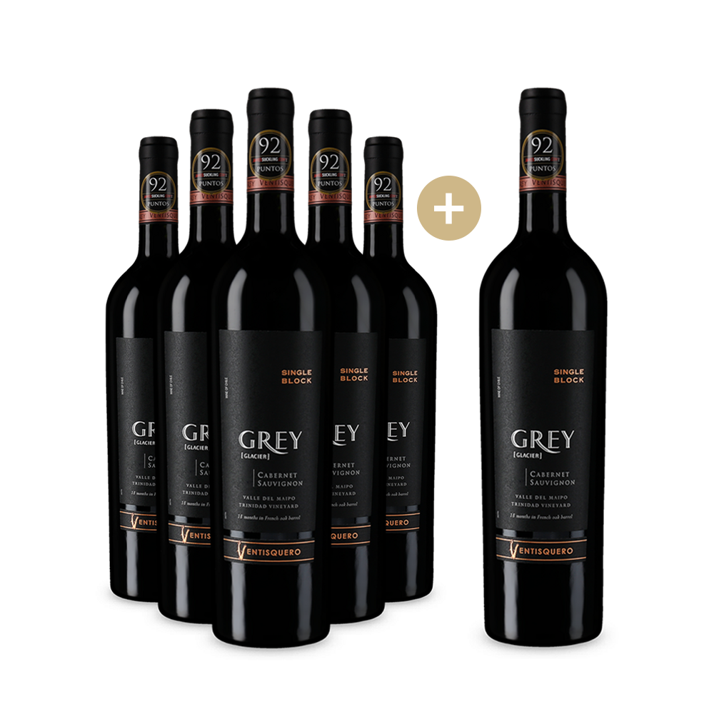 5+1 Flaschen Viña Ventisquero Cabernet Sauvignon Grey Maipo Valley 2020