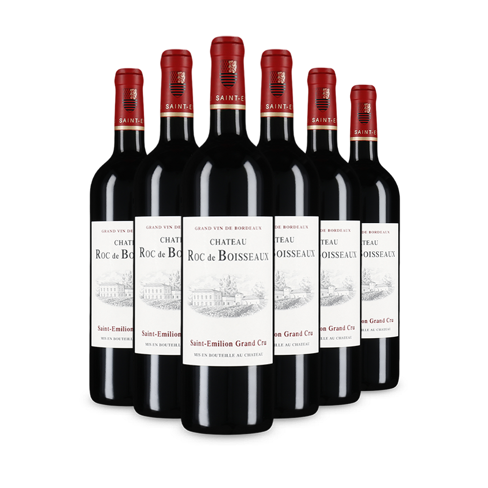 6 Flaschen Saint-Émilion Grand Cru 2018