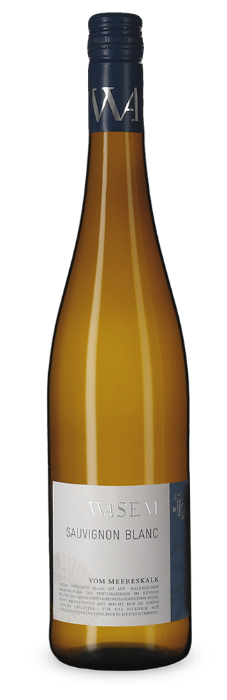 Sauvignon Blanc vom Meereskalk trocken 2023