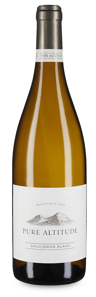 Sauvignon Blanc Haute Vallée de l'Aude 2023